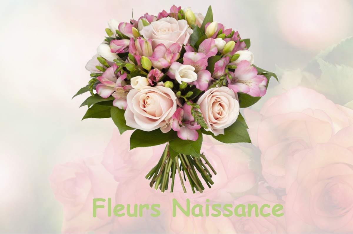 fleurs naissance LA-GREE-SAINT-LAURENT